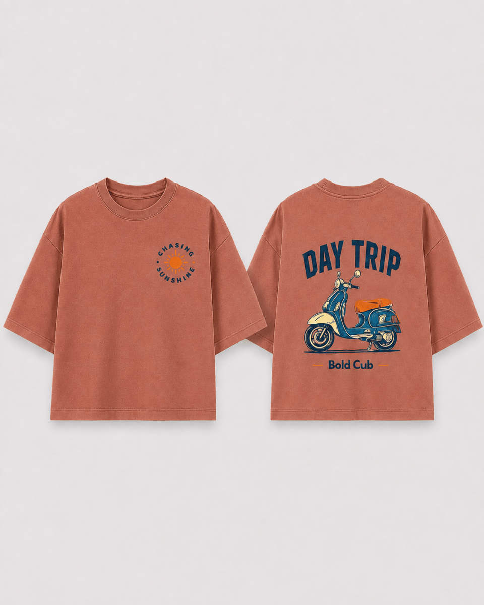 Boys oversized graphic t-shirt in Brown, Road Trip print, Bold Cub Korean streetwear - flat lay